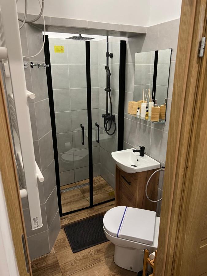 Paris Apartments Katoviçe Dış mekan fotoğraf